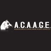 Association du Cheval Arabe Alsace Grand Est