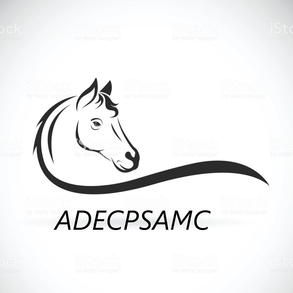 Association d'&Eacute;leveurs de Chevaux et Poneys de Sport de l'Allier et du Massif Central