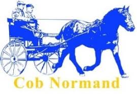 Syndicat National des &Eacute;leveurs et Utilisateurs de Chevaux Cob Normand