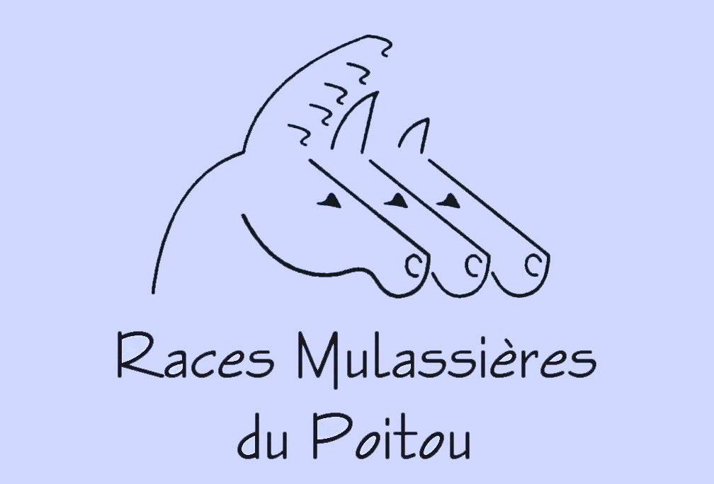 Association Nationale des Races Mulassi&egrave;res du Poitou