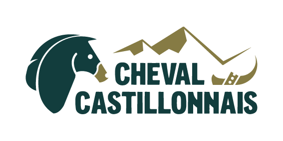 Association Nationale du Cheval Castillonnais d'Ari&egrave;ge Pyr&eacute;n&eacute;es