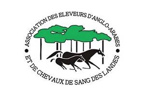 Association des &Eacute;leveurs de Chevaux Anglo-Arabes et de Chevaux de sang des Landes