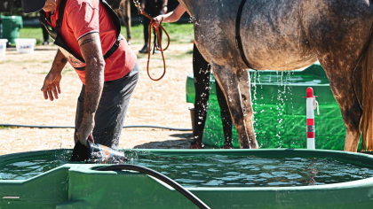 La Buvette Equin, partenaire de La Grande Semaine d'Uzès