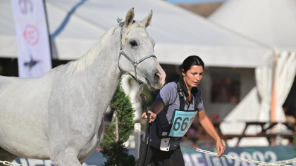 Championnats du monde jeunes chevaux : des 8 ans connus du circuit SHF