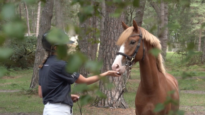 So'Pony J1 : l'édition de tous les records