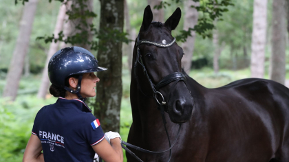Grande Semaine de Dressage 2025 : toutes les informations utiles