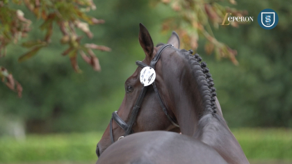 Grande Semaine de CCE : Jour 1