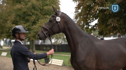 Grande Semaine de CCE : Jour 5