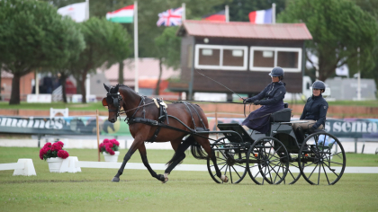 Grande Semaine d'Attelage 2025 : Qualifications, planning, engagements et boxes