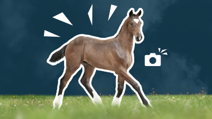 Concours photo Egerie 2026