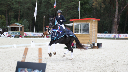 Finale Cycle Libre 2e année Dressage : le bon tempo de Sinfonie