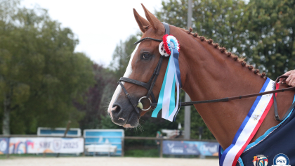 Finales SHF Cycle Classique 4 ans CCE : les toutes jeunes pousses de Pompadour