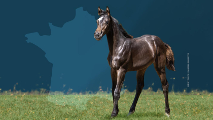 Save the dates : finales nationales 2026