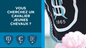 Vous cherchez un cavalier jeunes chevaux ?