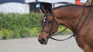 Modifications règlementaires Style Hunter 2026