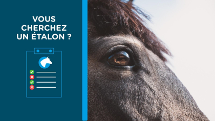 Lire l'actualité L&rsquo;excellence de l&rsquo;&eacute;levage &agrave; port&eacute;e de clic !