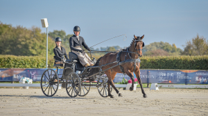 Modifications règlementaires Attelage 2026