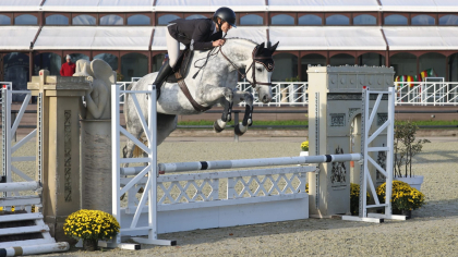 Lire l'actualité Concours Label Hunter 2026 : Planning et avantages