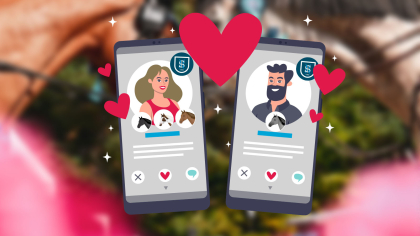 ALERTE NOUVEAUT&Eacute; : l&rsquo;amour arrive sur SHF DATING !