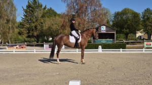 Sélection Jeunes Chevaux de 5 et 6 ans pour les Championnats du...