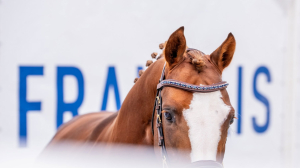 Première journée au So'Pony 2026 et déjà un record dépassé