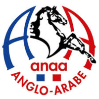Logo Association Nationale Anglo-Arabe